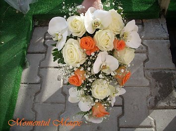 Momentul Magic Nunta Sibiu