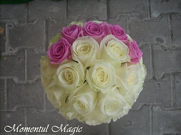 Momentul Magic Nunta Sibiu