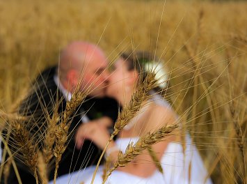 Art Mariage Nunta Sibiu