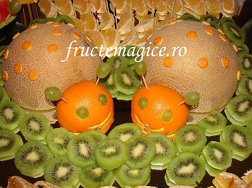 Fructe Magice Nunta Sibiu