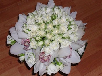 Floraria Sic Nunta Sibiu